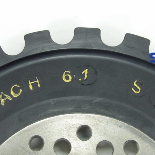 ACH6.1ST Reich Arcusaflex Drive Coupler