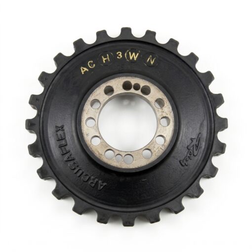 ACH3WN Reich Arcusaflex Coupling